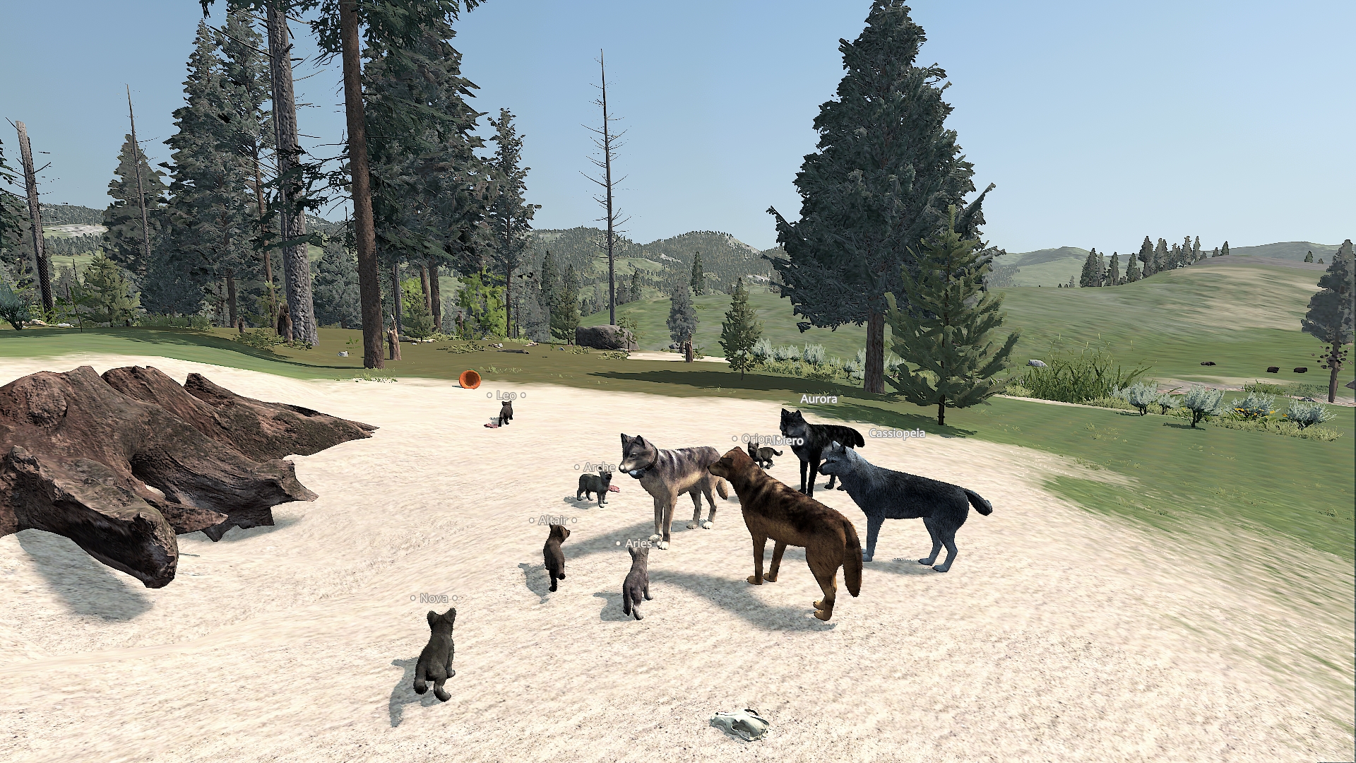 Shooting Stars Pack Family